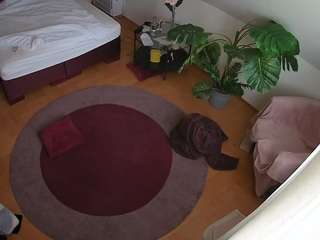 Julmodels Bedroom-A1