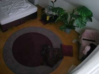 voyeurcam-julmodels-whitebed-5 Modèle Webcam Profil