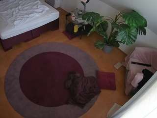 voyeurcam-julmod... Live Webcam on CamSoda