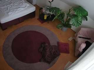 voyeurcam-julmod... Live Webcam on CamSoda