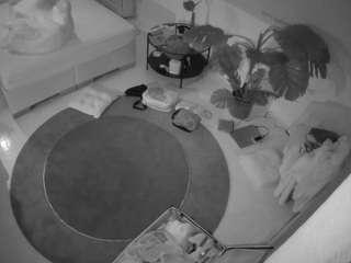 voyeurcam-julmod... Live Webcam on CamSoda