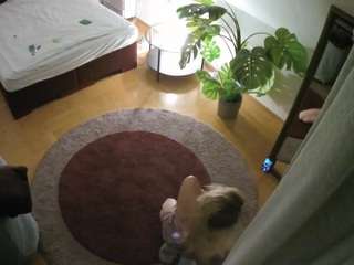 Julmodels Bedroom-A1