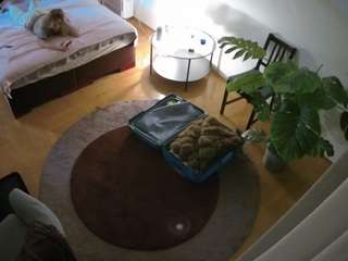 voyeurcam-julmodels-whitebed-5