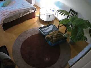 Julmodels Bedroom-A1