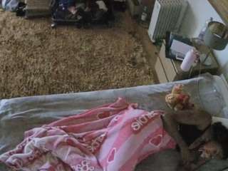 voyeurcam-julmod... Live Webcam on CamSoda