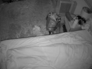 Julmodels Bedroom-A1