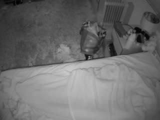 voyeurcam-julmodels-whitebed-5 webcam