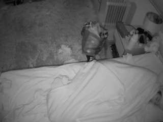 Julmodels Bedroom-A1