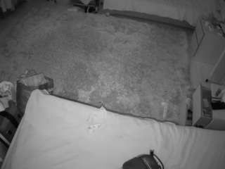 le modèle voyeurcam-julmodels-whitebed-5 est en webcam porno dans un show sur le site camsoda, il possède les tags suivants: flashing,hidden,hidden cam,jerk off,julmodels-house,no drinking,no smoking,sexwebcam,voyeur,hd