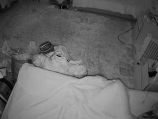 Julmodels Bedroom-A1