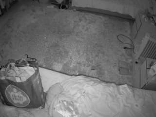 voyeurcam-julmodels-whitebed-5 live cam profile