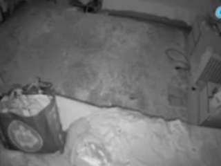 voyeurcam-julmodels-whitebed-5 live cam profile