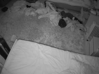 voyeurcam-julmodels-whitebed-5