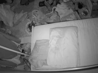 voyeurcam-julmodels-whitebed-5