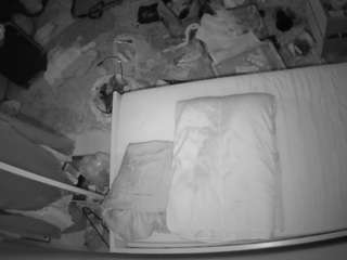 Julmodels Bedroom-A1