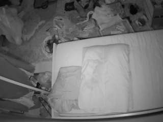voyeurcam-julmodels-whitebed-5