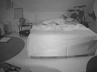 hd  voyeur  pov...