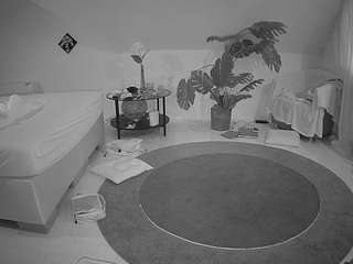 voyeurcam-julmod... Live Webcam on CamSoda