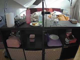 voyeurcam-julmodels-whitebed-6's CamSoda show and profile