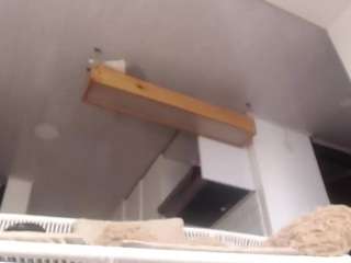 gingermd's CamSoda show and profile