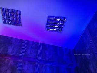 charlotte-german... Live Webcam on CamSoda