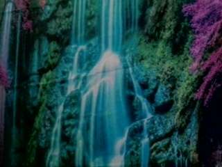 candismiths Live Webcam on CamSoda