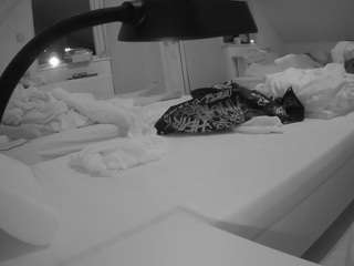 voyeurcam-julmodels-bed-2 live cam profile