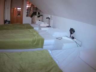 voyeurcam-julmodels-bed-3's CamSoda show and profile