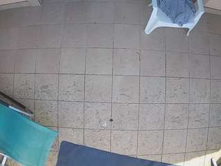 voyeurcam-julmodels-reallife-1's CamSoda show and profile