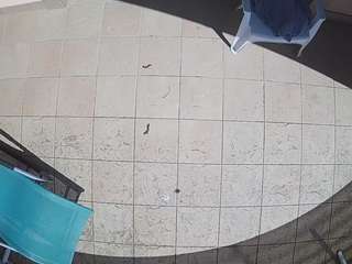 voyeurcam-julmodels-reallife-1's CamSoda show and profile