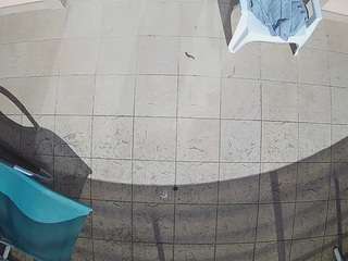 voyeurcam-julmodels-reallife-1's CamSoda show and profile