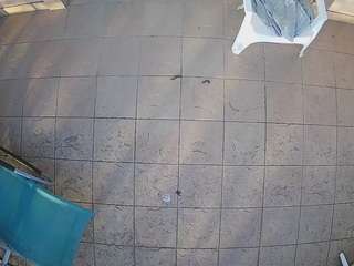 voyeurcam-julmodels-reallife-1's CamSoda show and profile