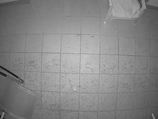 voyeurcam-julmodels-reallife-1's CamSoda show and profile