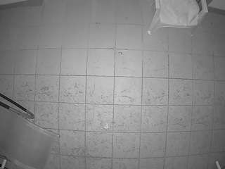 voyeurcam-julmodels-reallife-1's CamSoda show and profile