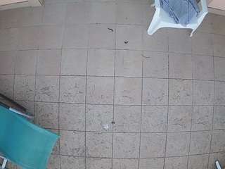 voyeurcam-julmodels-reallife-1's CamSoda show and profile