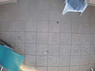 voyeurcam-julmodels-reallife-1's CamSoda show and profile