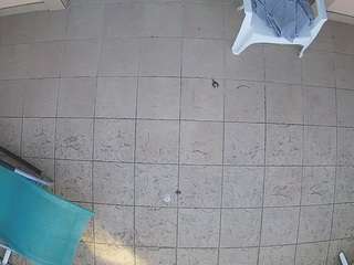 voyeurcam-julmodels-reallife-1's CamSoda show and profile