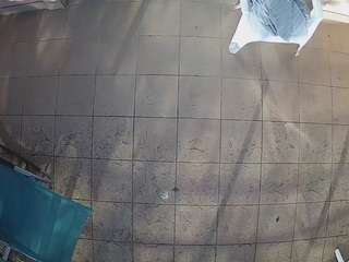 voyeurcam-julmodels-reallife-1's CamSoda show and profile