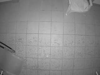 voyeurcam-julmodels-reallife-1's CamSoda show and profile