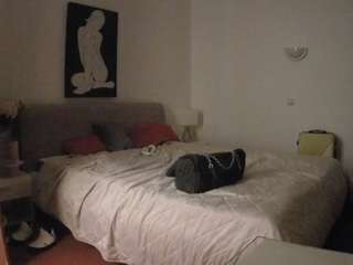 voyeurcam-julmod... Live Webcam on CamSoda