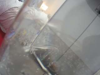 voyeurcam-julmodels-reallife-2