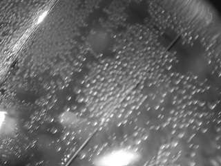 voyeurcam-julmod... Live Webcam on CamSoda