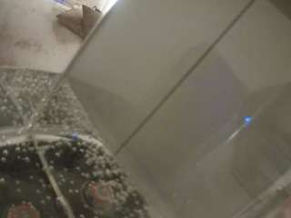 voyeurcam-julmodels-reallife-2