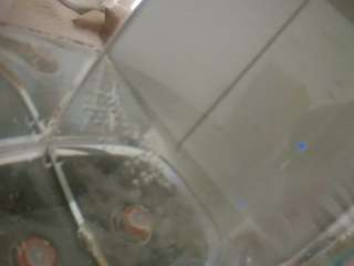 voyeurcam-julmod... Live Webcam on CamSoda