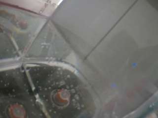 voyeurcam-julmodels-reallife-2