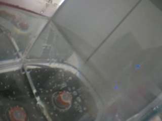 voyeurcam-julmodels-reallife-2