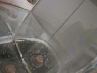 voyeurcam-julmodels-reallife-2