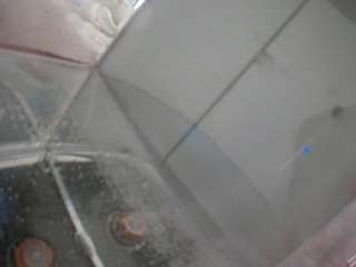 voyeurcam-julmodels-reallife-2 webcam