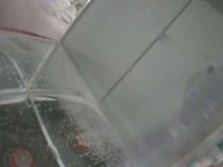 voyeurcam-julmodels-reallife-2