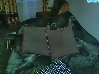 sex2 Live Webcam on CamSoda